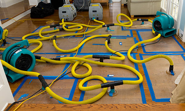 Professional Water Damage Restoration technician working in Elm Mott, TX